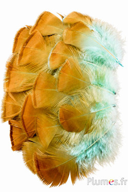 Tacchino bronzo - sbiancato - 5-15 cm - verde acqua-caramello